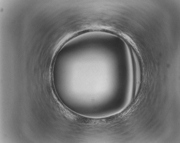 X0000059801183200510211044