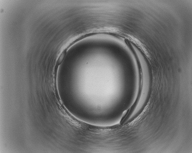 X0000059801184200510211044