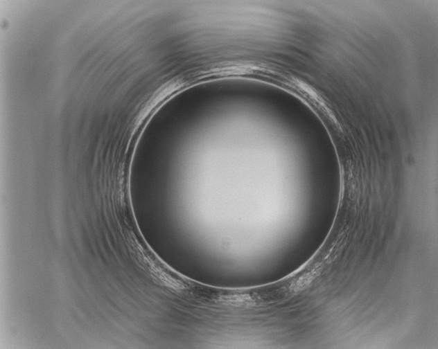 X0000059801186200510211044