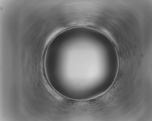 X0000059801187200510211044