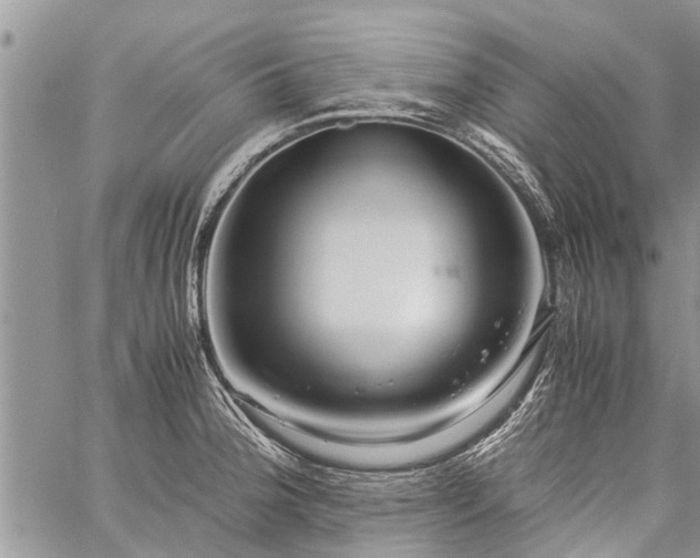 X0000059801188200510211044