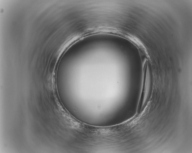 X0000059801190200510211044