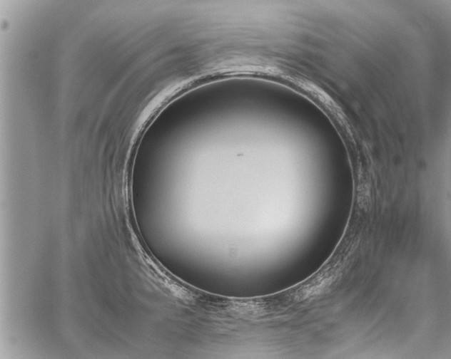 X0000059801191200510211044