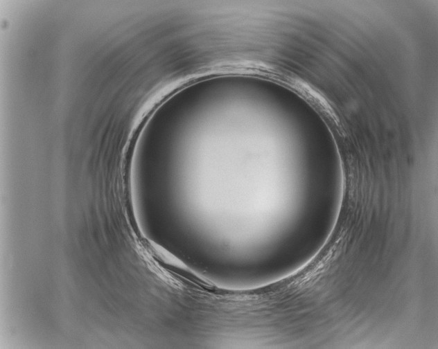 X0000059801192200510211044