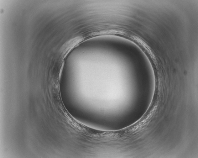 X0000059801193200510211044