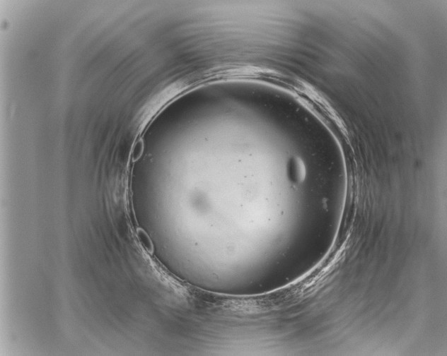 X0000059801194200510211044