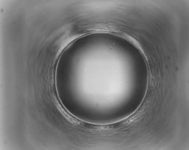 X0000059801195200510211044