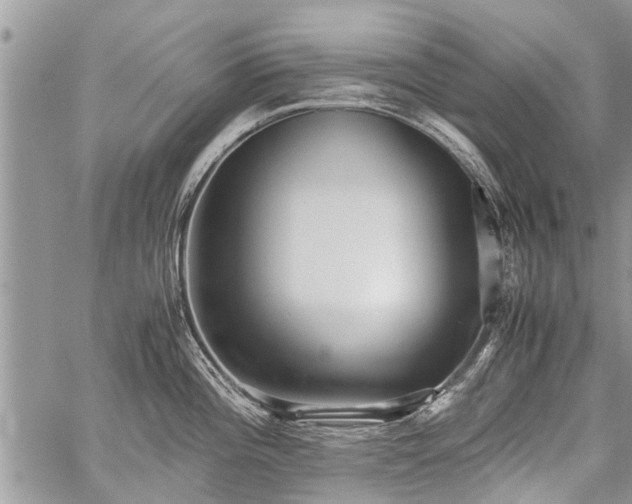 X0000059801196200510211044