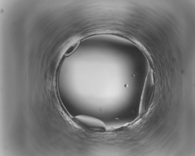 X0000059801197200510211044