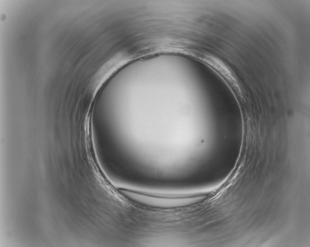 X0000059801198200510211044