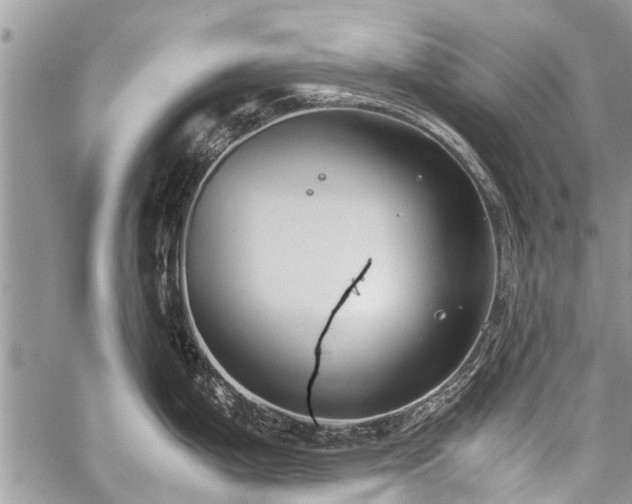 X0000059801199200510211044