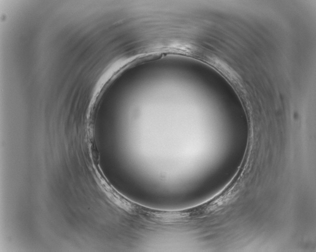 X0000059801200200510211044