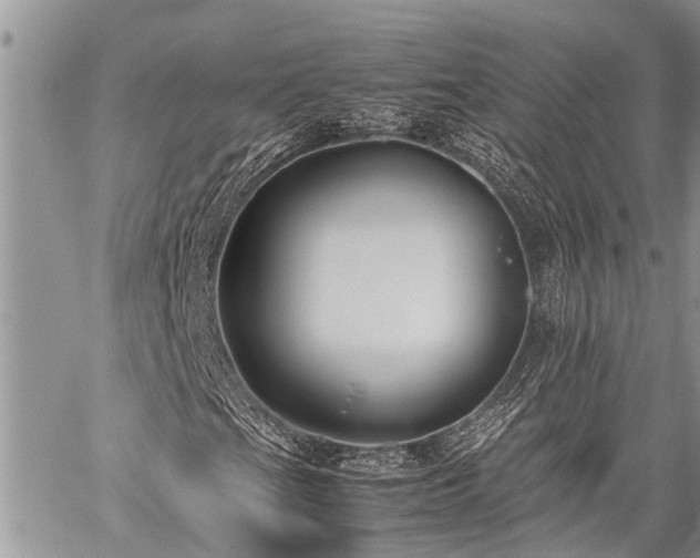 X0000059801201200510211043