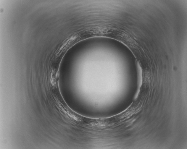 X0000059801202200510211043