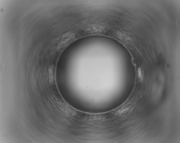 X0000059801203200510211043