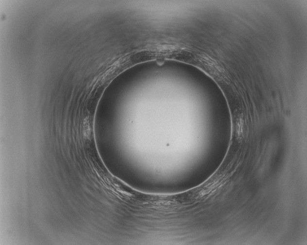 X0000059801204200510211043