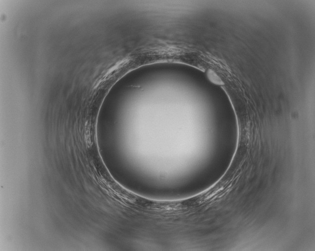 X0000059801205200510211043