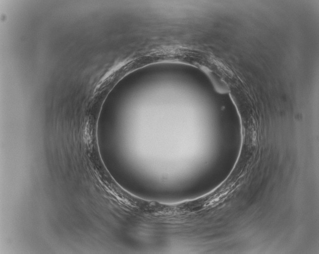 X0000059801206200510211043