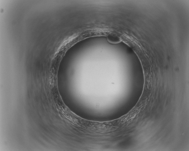 X0000059801207200510211043