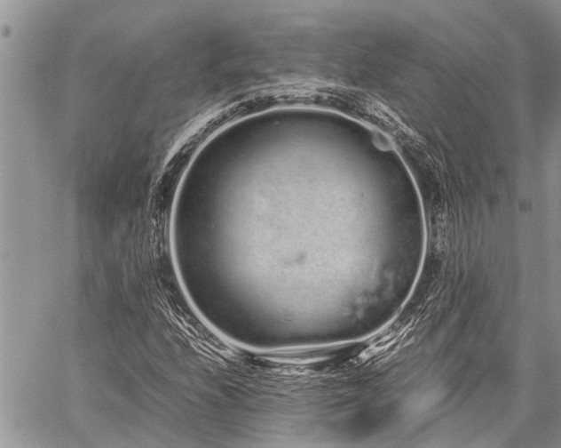 X0000059801208200510211043