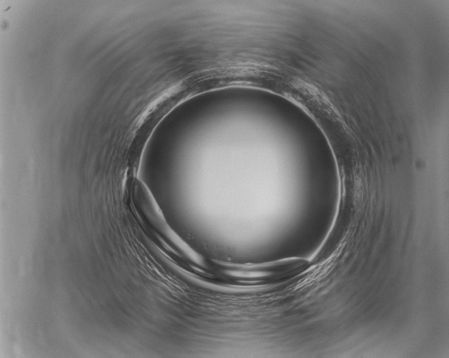 X0000059801210200510211043