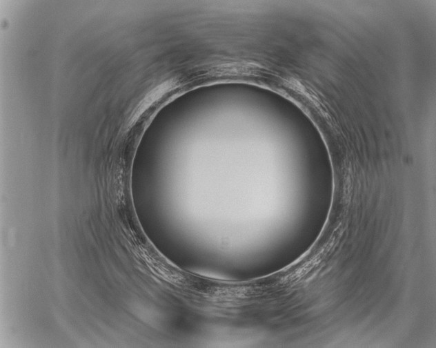 X0000059801211200510211043