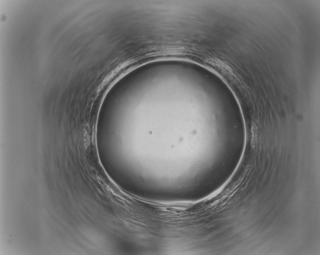 X0000059801212200510211043