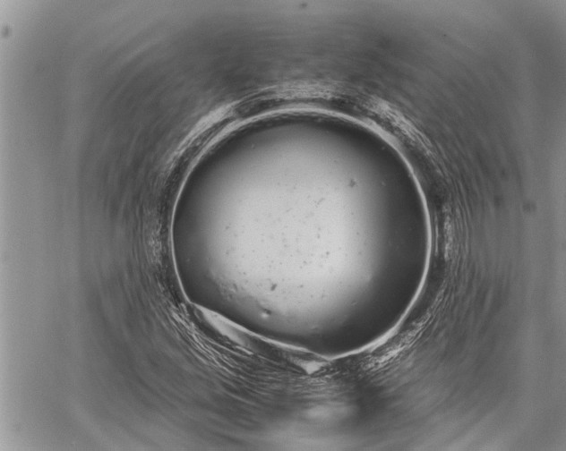 X0000059801213200510211043