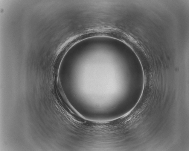 X0000059801214200510211043