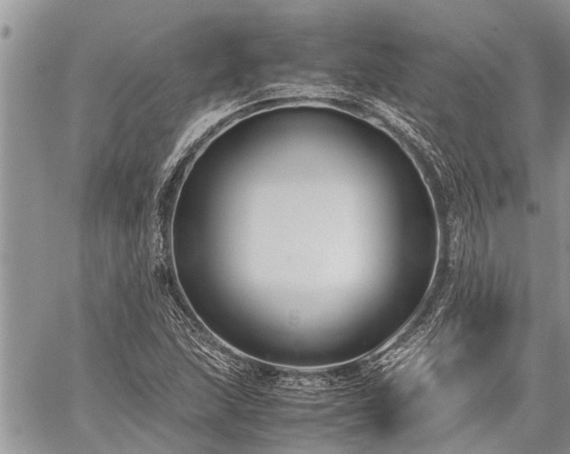 X0000059801215200510211043