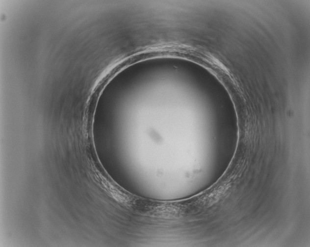 X0000059801216200510211043