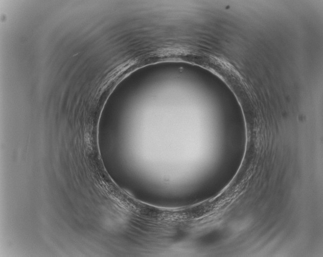 X0000059801217200510211043