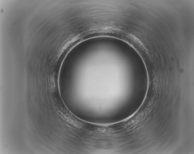 X0000059801218200510211043