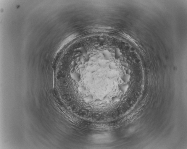 X0000059801219200510211043