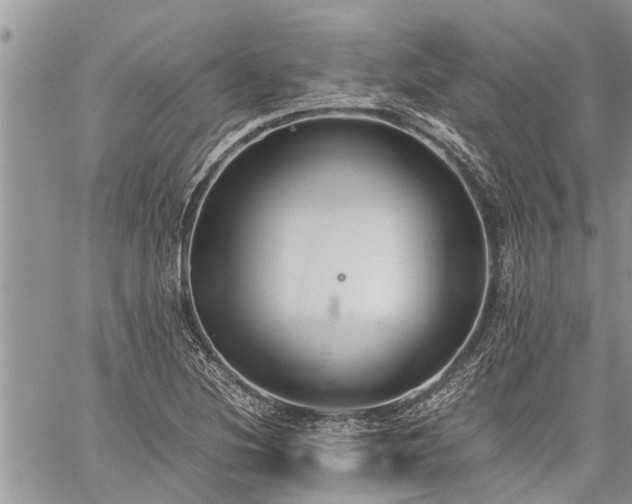 X0000059801220200510211043