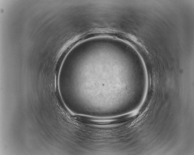 X0000059801221200510211043