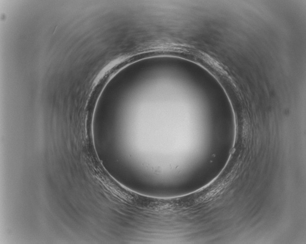 X0000059801222200510211043