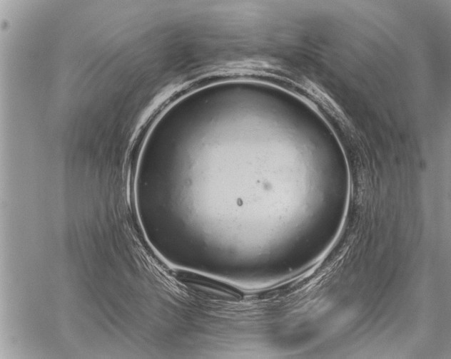 X0000059801224200510211043