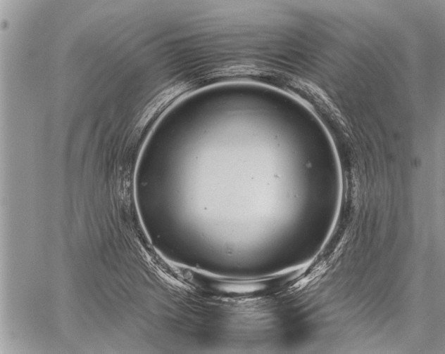 X0000059801225200510211043