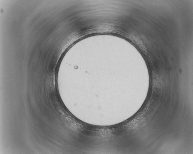 X0000059801226200510211043