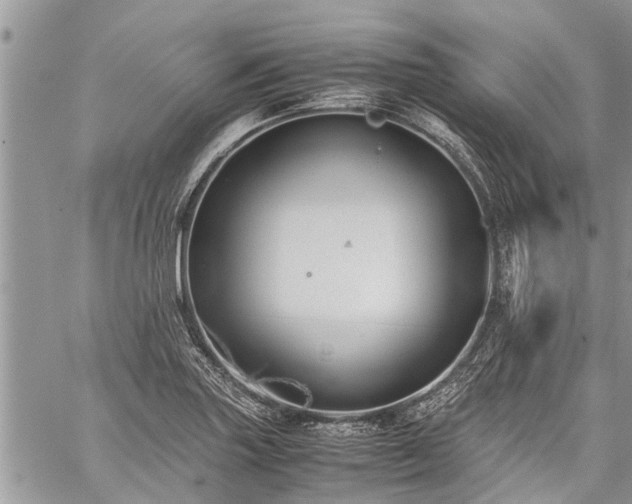 X0000059801227200510211043