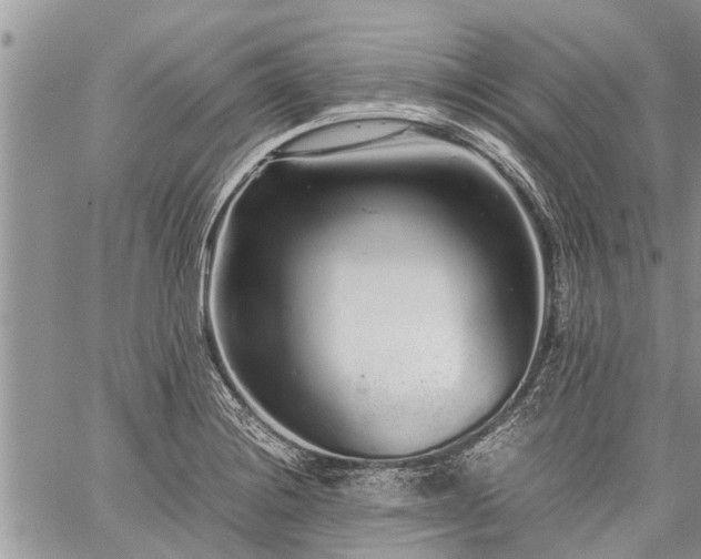 X0000059801228200510211043