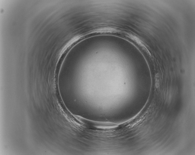 X0000059801229200510211043