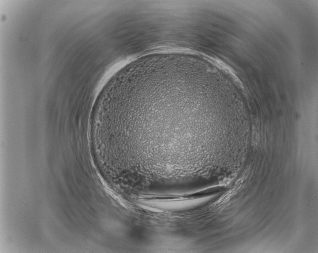 X0000059801231200510211043