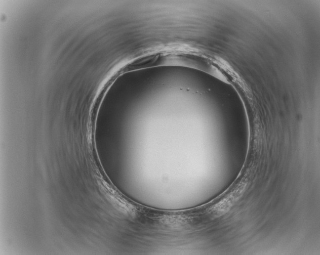 X0000059801232200510211043