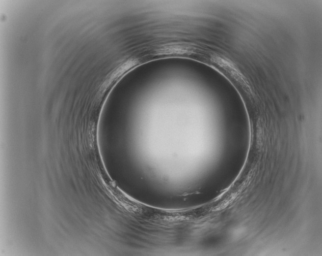 X0000059801233200510211043