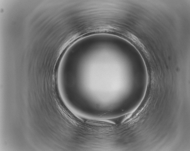 X0000059801234200510211043