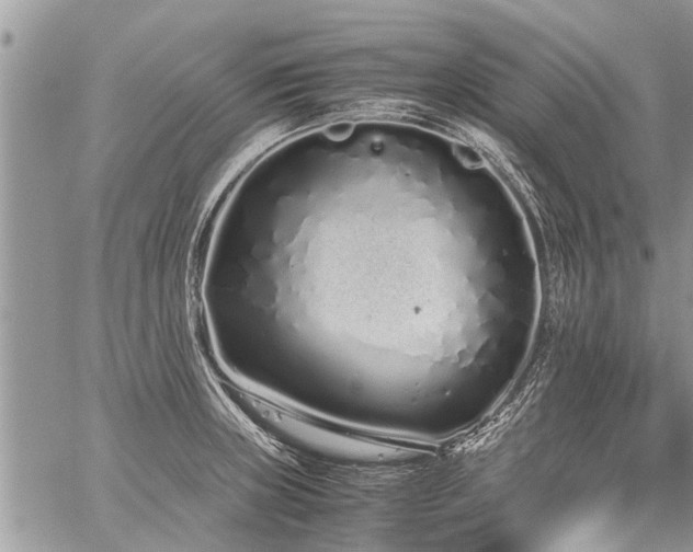 X0000059801235200510211043