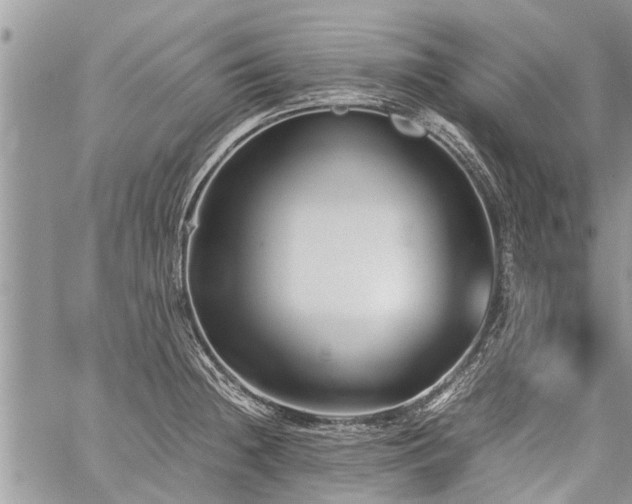 X0000059801236200510211043