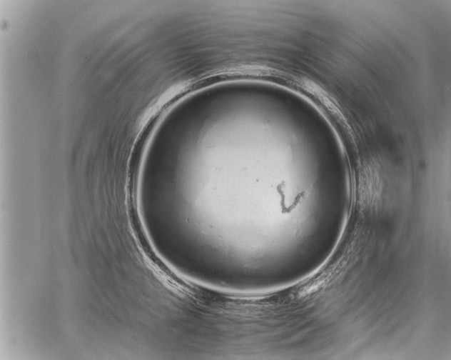 X0000059801237200510211043